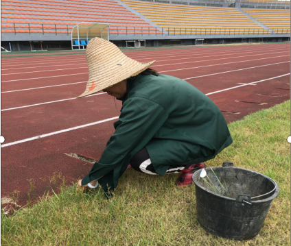 炎炎夏日，“暑”你最美