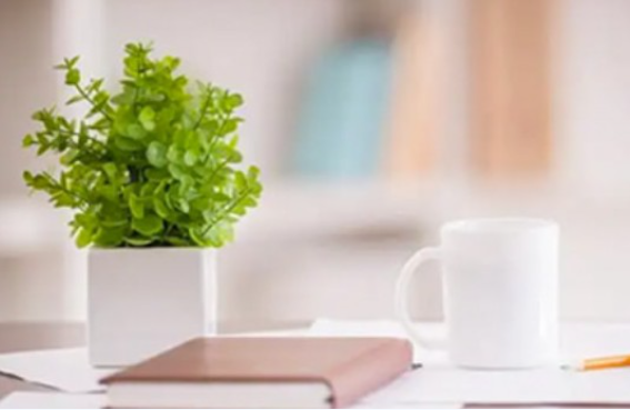 教职工离校、调岗手续通知单资产处盖章